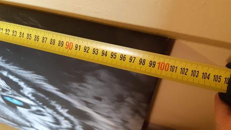 Predám obraz tigra tlac na platne., 