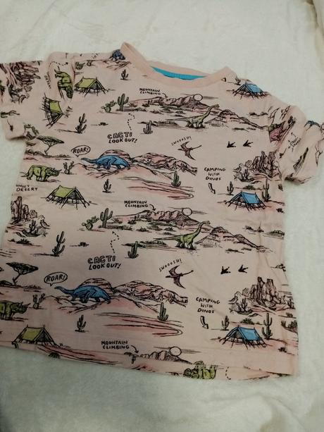 Tričko s dinosaurami, 116