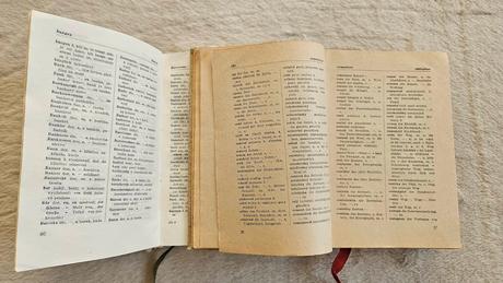 Slovnik slovensko-nemecky a nemecko-slovensky, 2ks, 