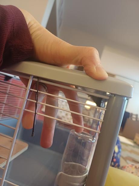 Klietka pre škrečka, 