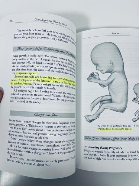 Your pregnancy week by week, 