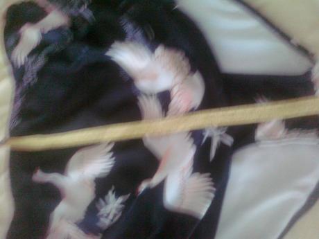 Plavkovy spodny diel, 52