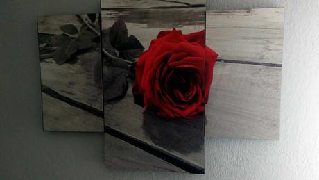 Obraz 3 dielny moderný, 