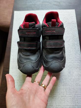 Predám topánky geox, geox,32