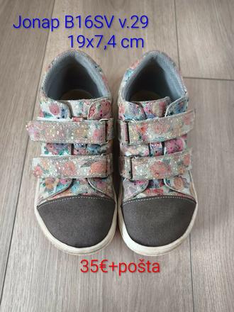 Jonap b16sv v. 29, jonap,29