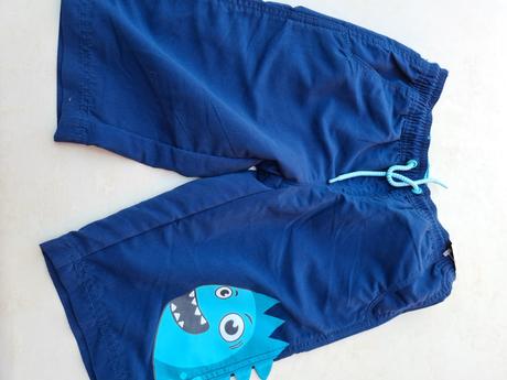 Kratasy, palomino,134