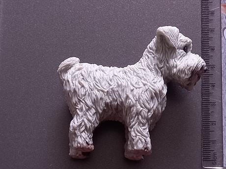 Pes jorkšírsky teriér sivý reaguje na teplo, 