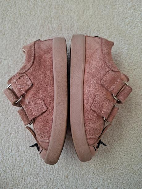 Celoroky mrugala zajace, 24