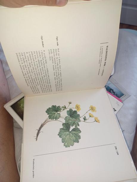 3x kniha,ruze,skalický,tsunami,