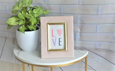 Zamatový fotorámik-ružový, 