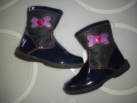 Leskle prechodne cizmicky, 22