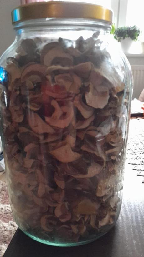 Sušené hríby dubové, 