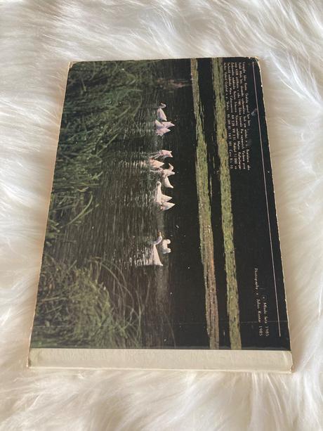 Na dvore i na vode (1985),