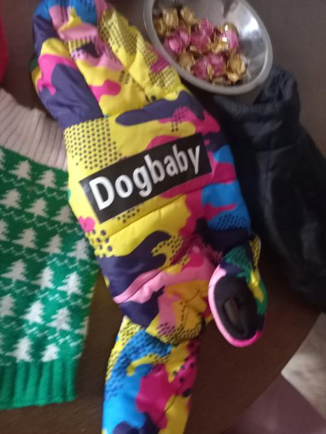 Rozne veci pre psika, 