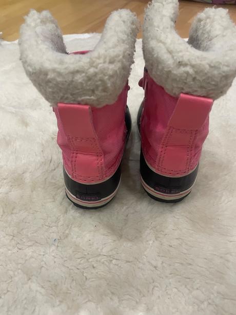 Snehule sorel, sorel,25