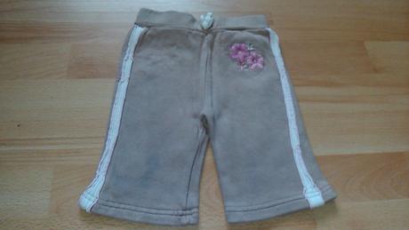 Teplaciky, st. bernard,68