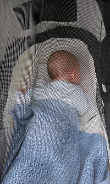 Kvalitný kočík hartan topline x vhodný do terénu, hartan,hartan topline x