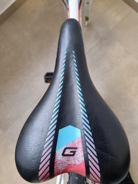 Dievčenský bicykel, 26