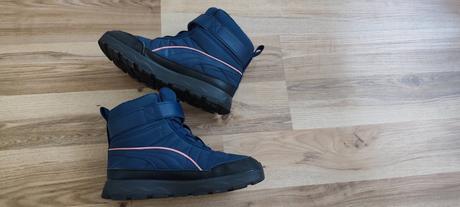 Snehule, puma,35