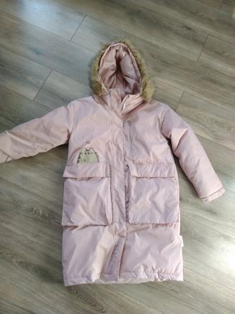 Teplá bunda, reserved,146