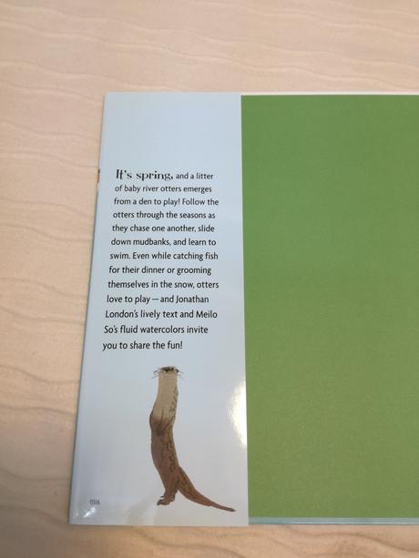 Otters love to play hb nau18,