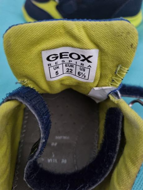 Geox, adidas, geox,22