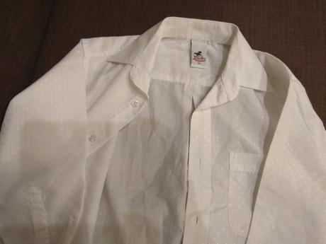 122 snehobiela kosela, palomino,122