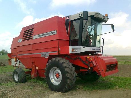 Jedly tortovy obrazok, 