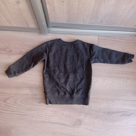 Mikina, u.s. polo assn.,104