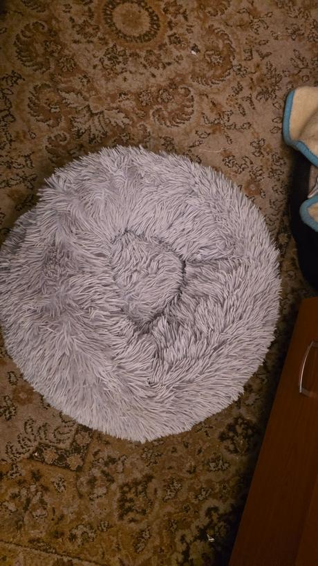 Pelech macka pes do8kg, 