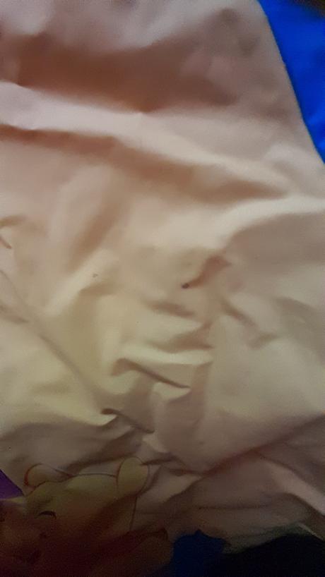 Pršíplášť-pláštenka, disney,110