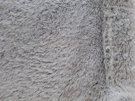 Župan bledosivý, next,164