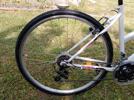 Dámsky bicykel, olpran,28