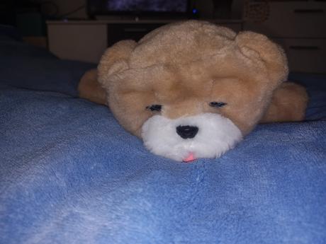 Little live pets bozkávanie rollie dog,