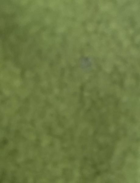 Teplá mikina s kapucou f&f v. 152/158, f&f,158