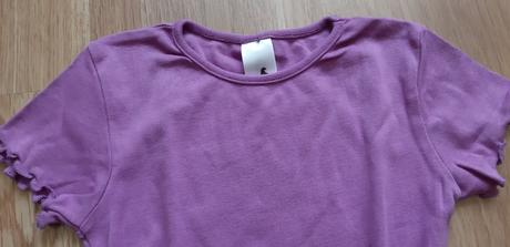 Fialové tričko, palomino,122