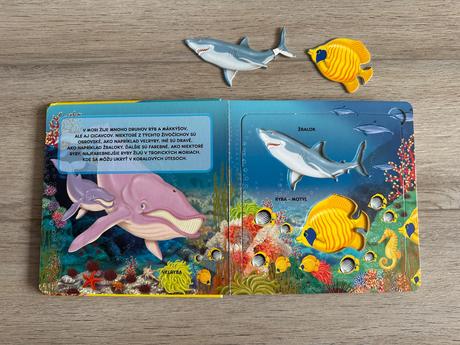 Kniha zvieratá kresli a uč sa hrou,