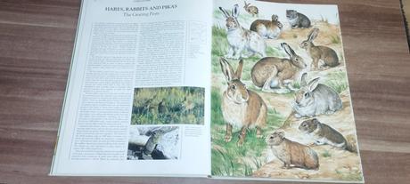 Wildlife of the world, 