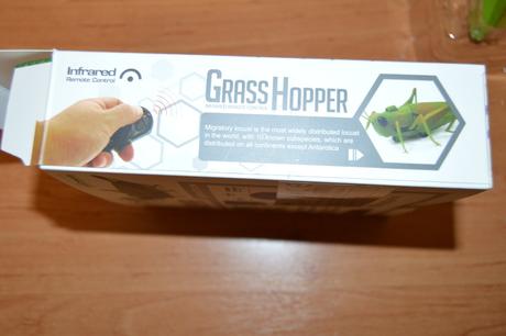 Kobylka na diaľkové ovládanie, 