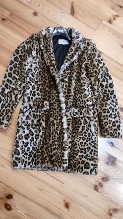 Leopardi kabat zara, zara,m