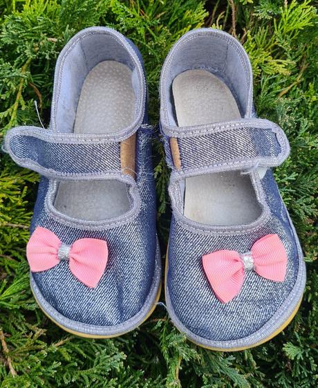 Papucky, anatomic,26