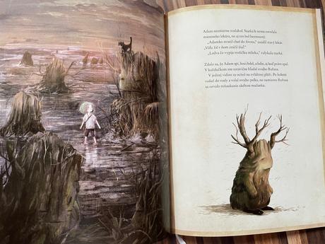 Abeceda vo veršíkoch kniha,