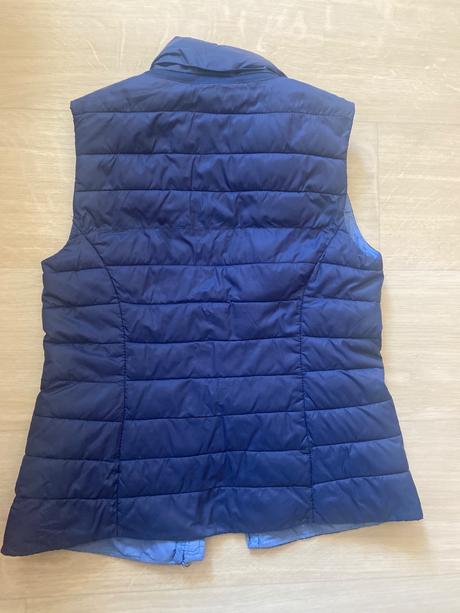 Vesta geox, geox,128