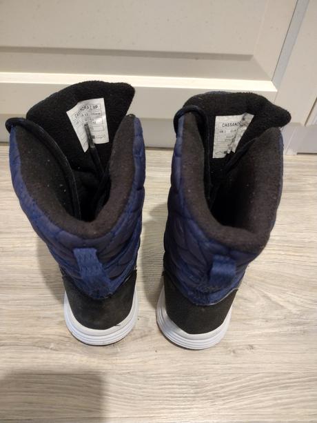 Snehule willard , č. 33, 33