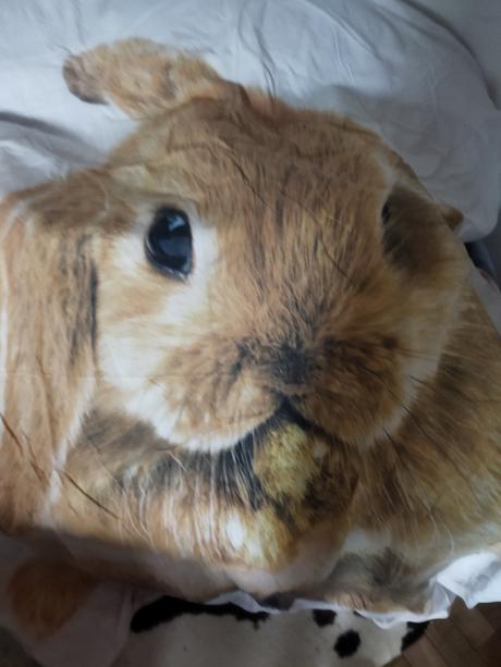 Obliečky, šírka (cm): 140,dĺžka (cm): 200