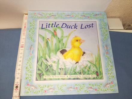 Little duck lost    jul18, 