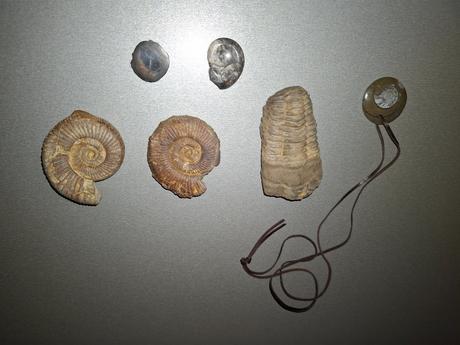 Skameneliny mix, 