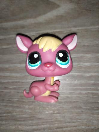Lps littlest pet shop kengura,