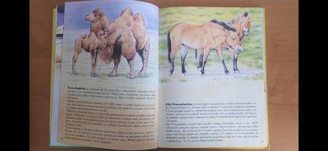 Zvieratá sveta, 