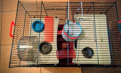 Klietka škrečok, morča, králik, 